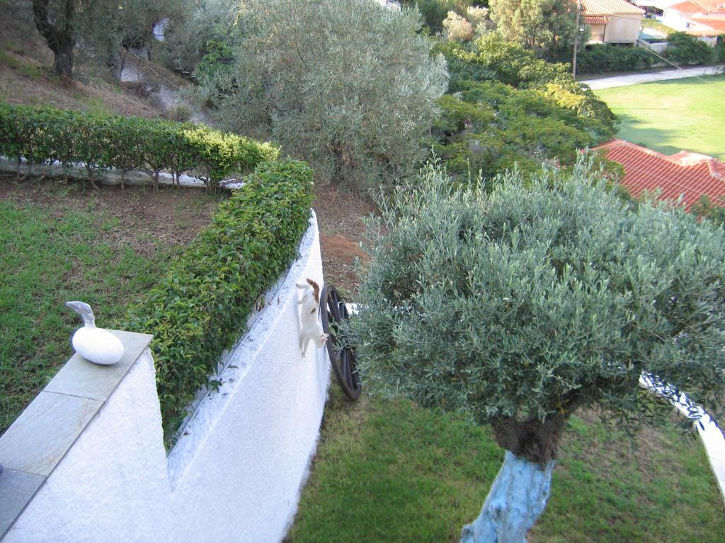 Villa Frideriki Ayía Paraskeví Quarto foto